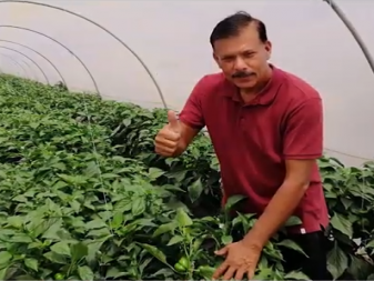 Ubaid ur Rehman l Agrionics Farms l Vegetable Tunnel Farming l Chakwal