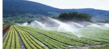 Rain Gun  Irrigation